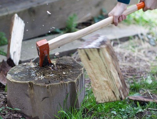 Closeup of wood log chopped with an axe
